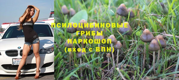 гашишное масло Михайлов