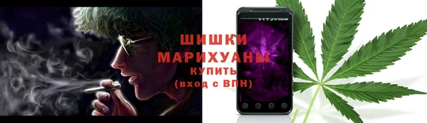 стаф Михайловск