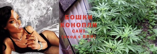 стаф Михайловск