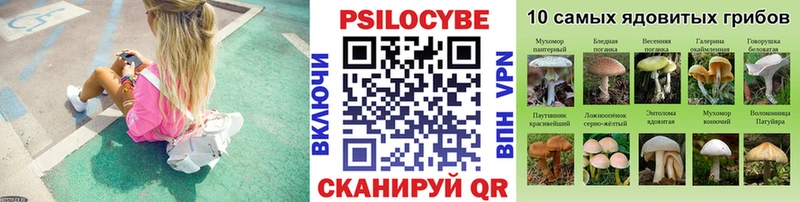 Галлюциногенные грибы ЛСД где можно купить Томилино