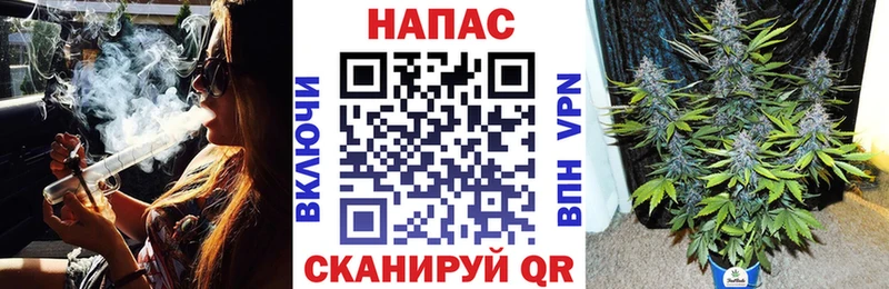 Бошки Шишки SATIVA & INDICA Томилино